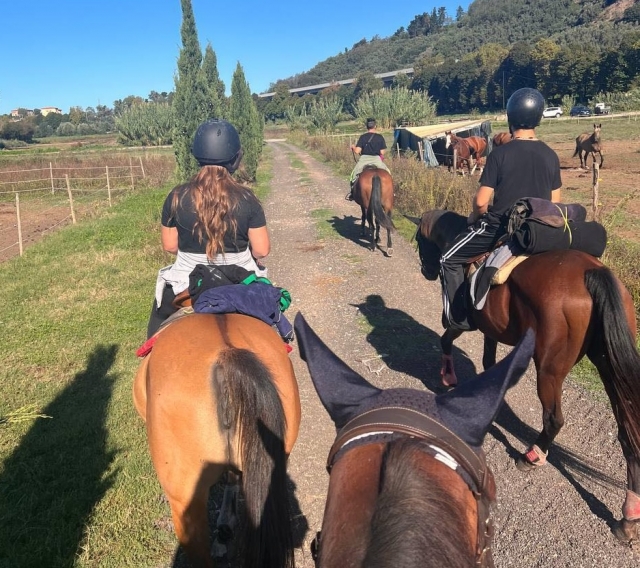 Passeggiata a cavallo 2h Lago Massaciuccoli Passeggiata a cavallo 2h Lago Massaciuccoli