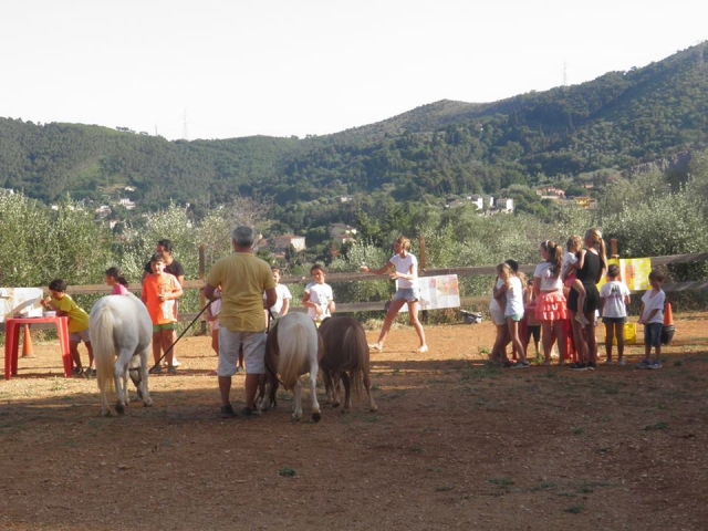  Im Kontakt mit den Ponys 