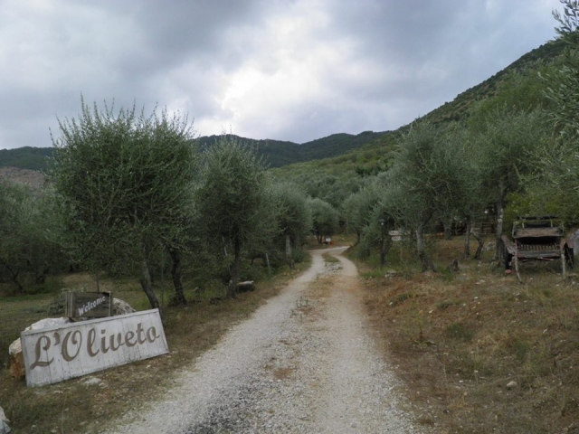  Unser Olivenhain