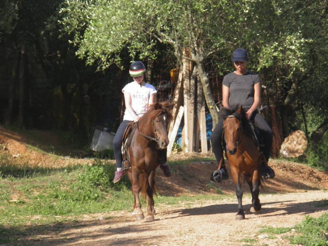  Cours en cours