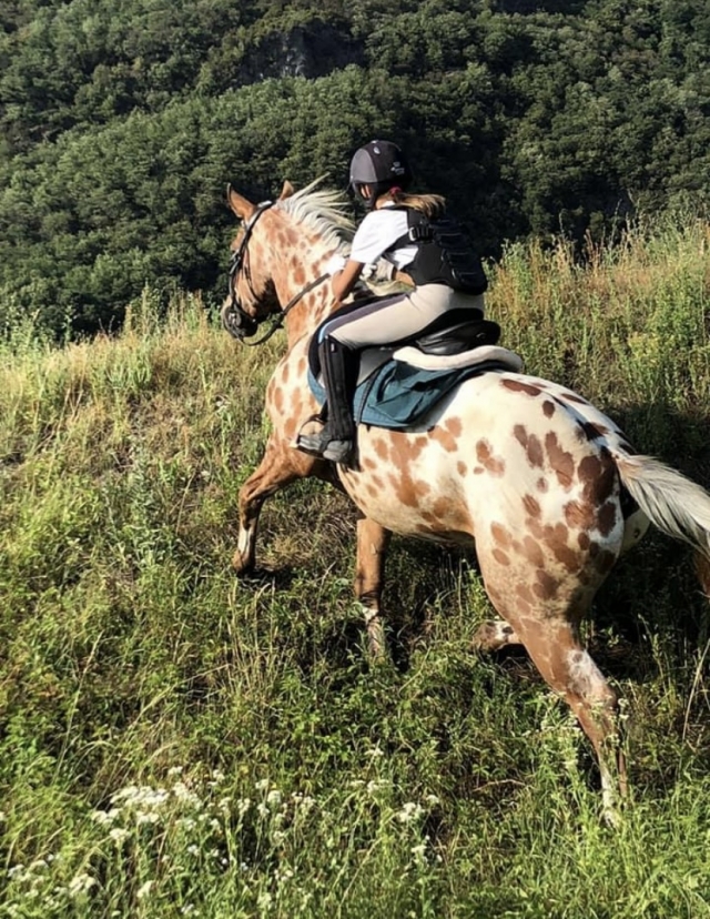 Passeggiando nella natura