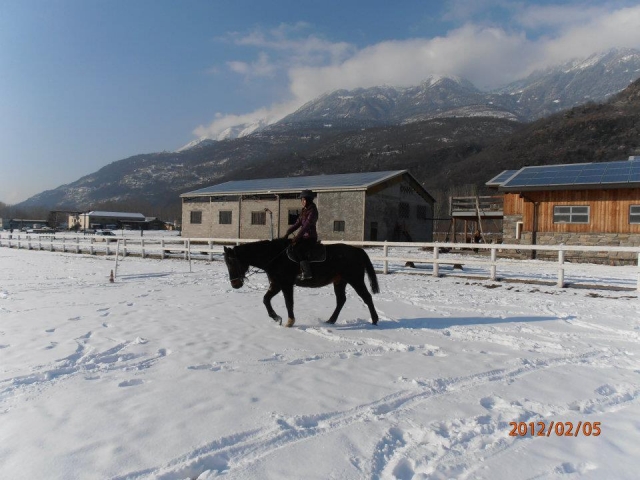  雪上课程