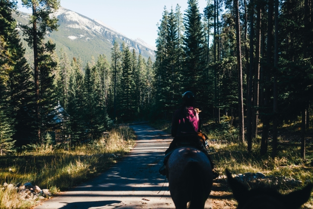 Tour de día completo a caballo y picnic en Sorano