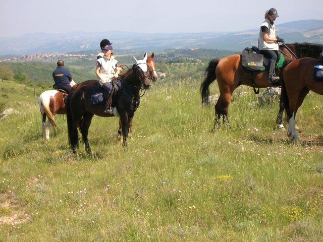  Divirta