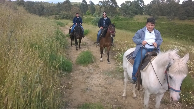 la passeggiata a cavallo è per tutti
