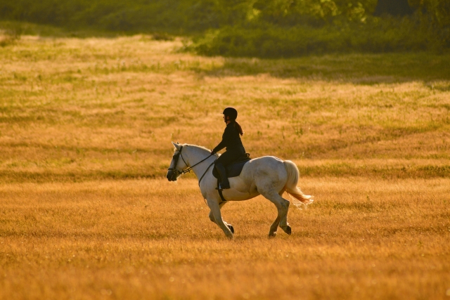 Lungo trekking a cavallo (8h), Cefalù