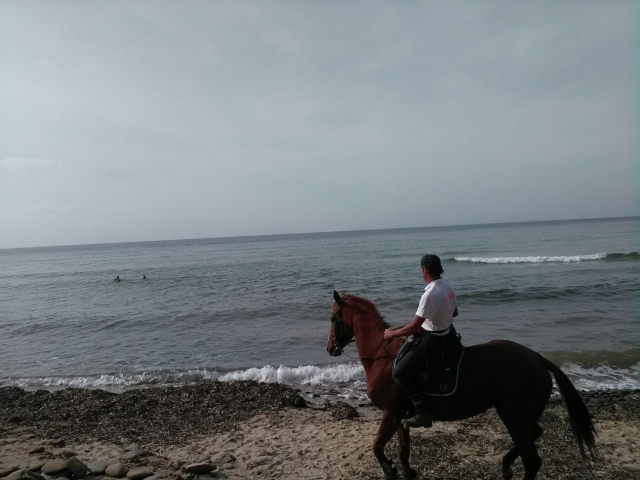 Che bello il paesaggio  da qui