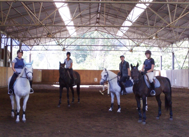 ven a conocer a nuestro equipo de expertos 