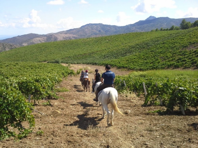 Eingebettet in die Weinberge 