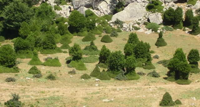  L'étendue verte des dentelles