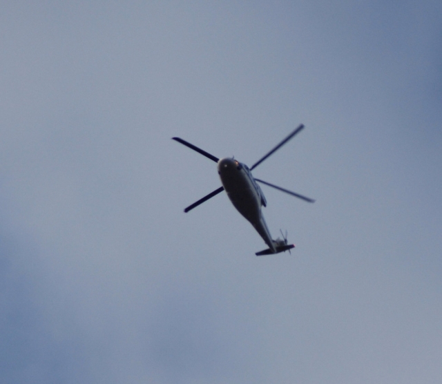 In volo