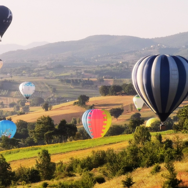 Splendide colline del Chianti