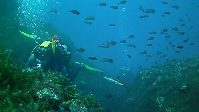  the flora and fauna of Portofino are unique 