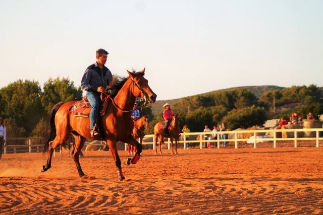  Fügsames Reiten 