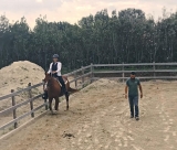 1 hour riding lesson in Formello
