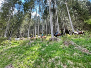 Équitation dans le Val di Fassa 1h