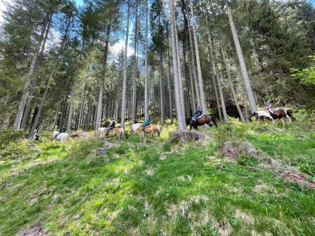 Équitation dans le Val di Fassa 1h
