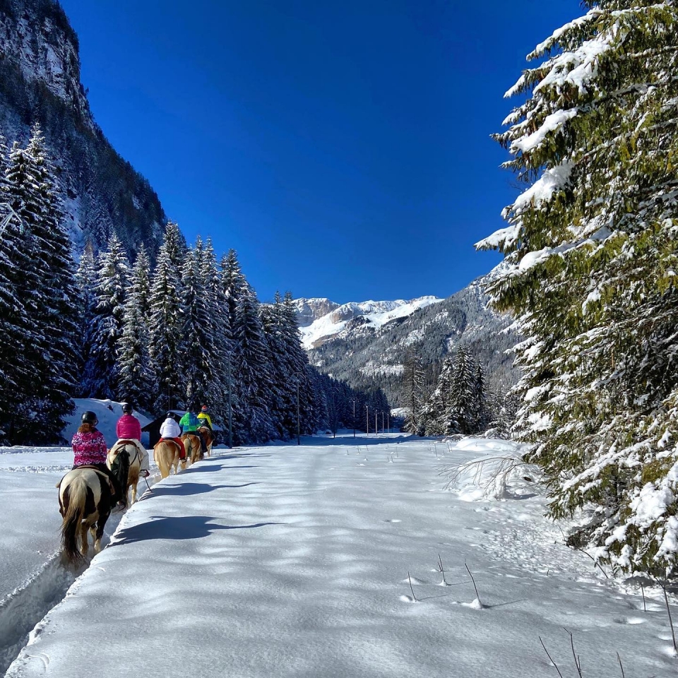  沿着雪覆盖的小路走 