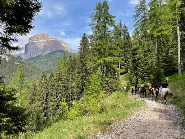 Équitation dans le Val di Fassa 1 heure et 30 minutes