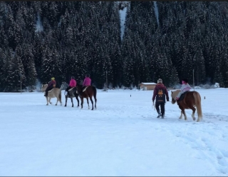 Équitation sur neige (3 heures), Val di Fassa