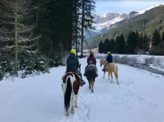 Équitation pour experts Val di Fassa 4h