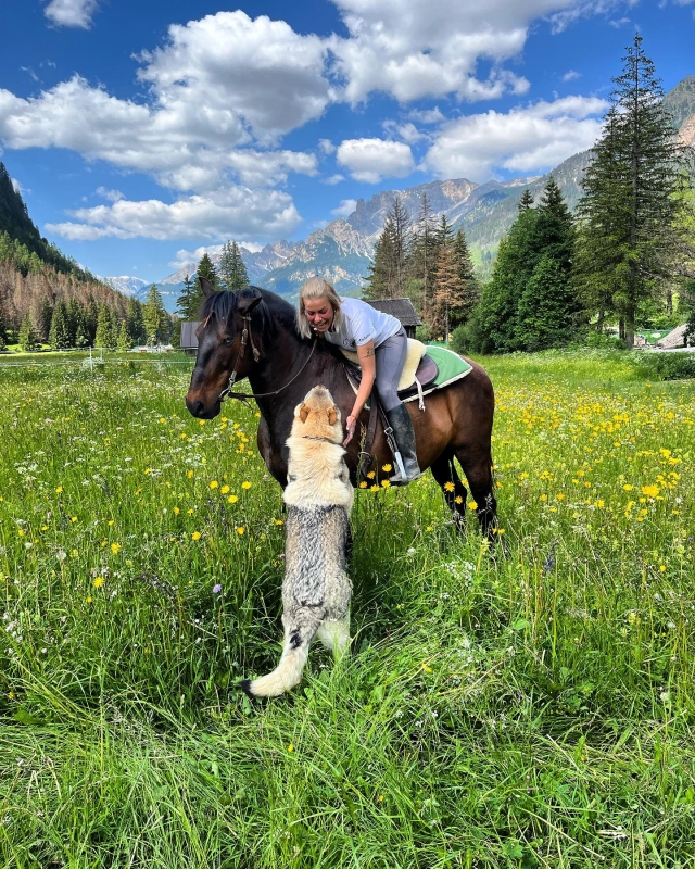  在春天的绿色植物中