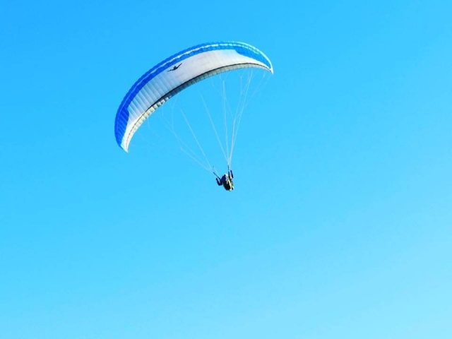 Durante un volo.