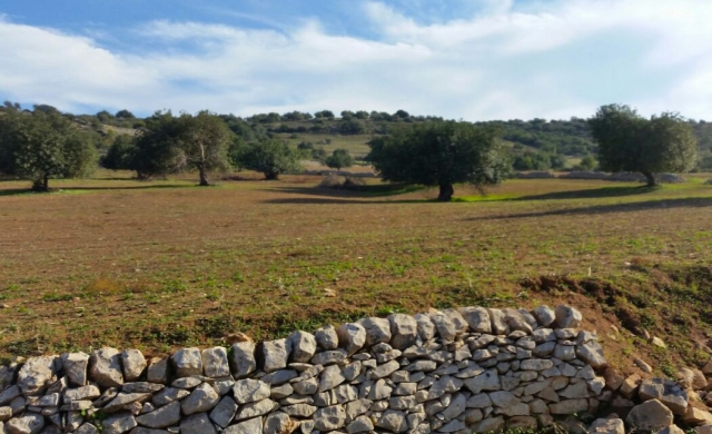 une nature intacte n'attend que vous 