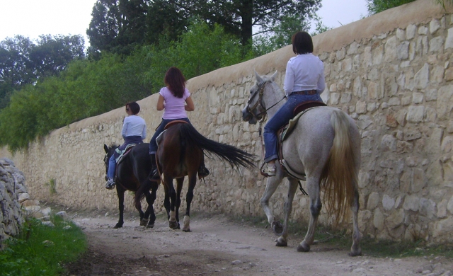  Nossos cavalos são lindos 