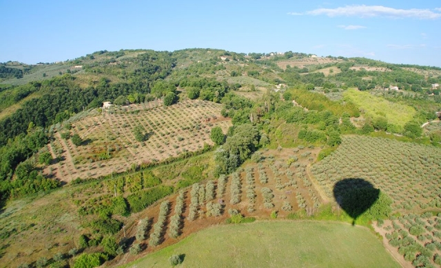 dopo l'atterraggio potrai gustare una fantastica degustazione