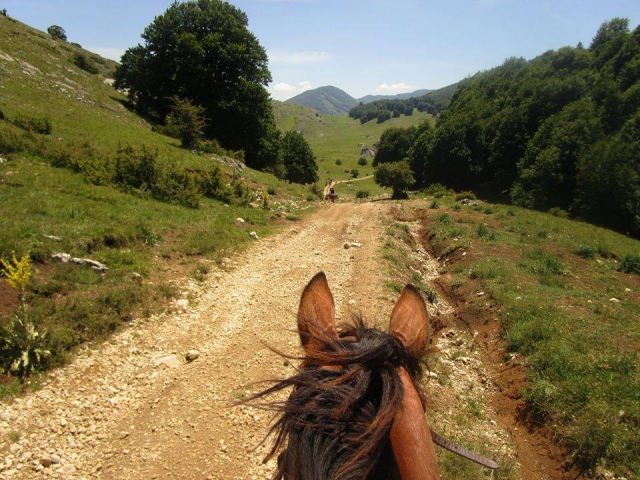  Équitation en pleine nature 