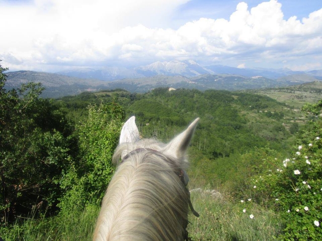 Équitation 