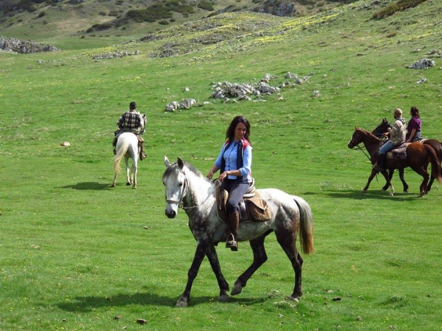  Équitation dans les prairies 