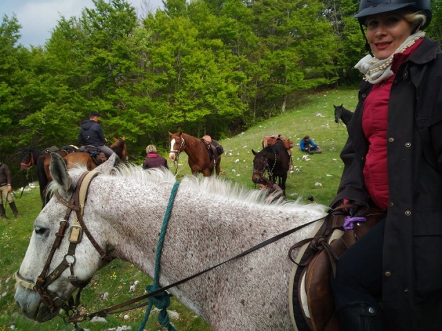 nos chevaux sont merveilleux 