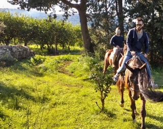Promenade à cheval aux monastères de Sotto 1 heure