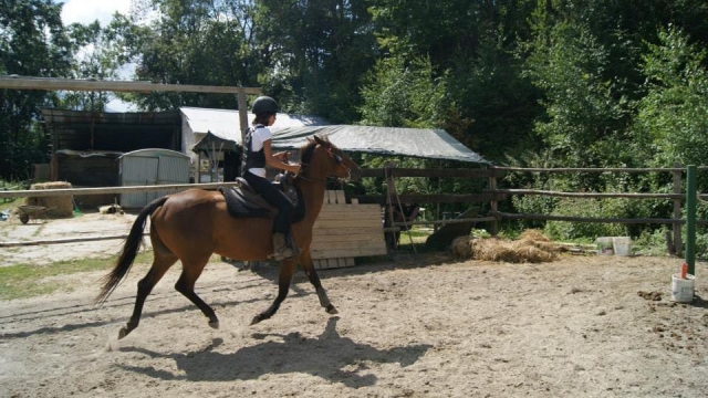  le cheval deviendra votre meilleur ami 