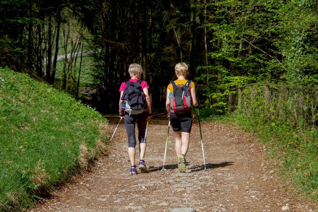  Un paseo por el bosque 