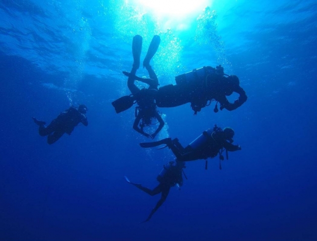 Corso reactivate del PADI Open Water Diver