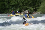 Rafting de larga distancia, 3 horas y 30 minutos por el río Noce