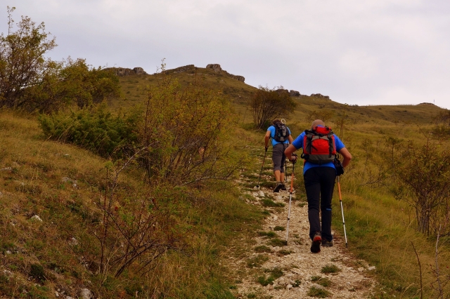 Uma caminhada na natureza 