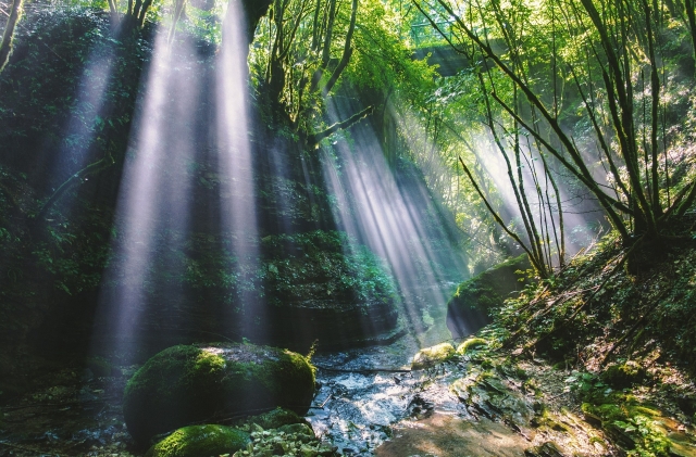 vislumbres de luz 