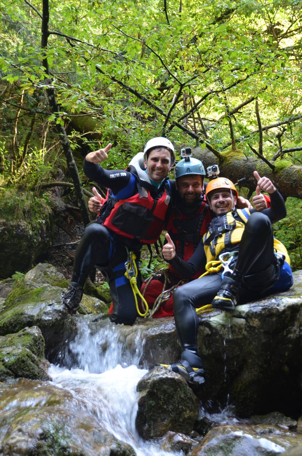  峡谷的小溪之中 