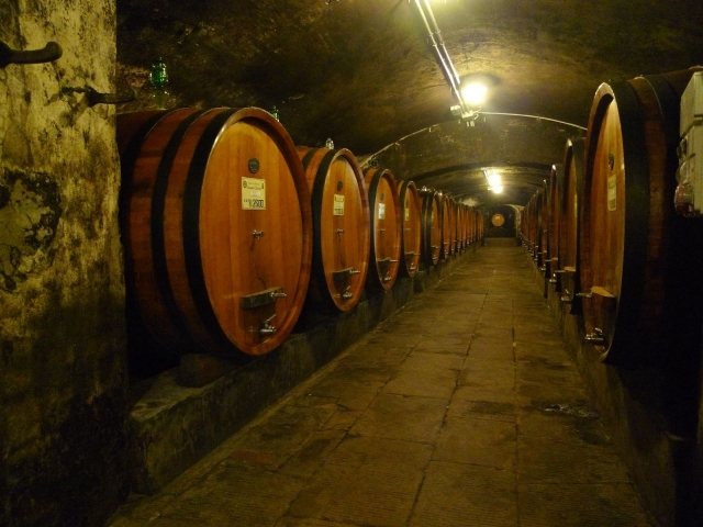  The cellars of Chianti 
