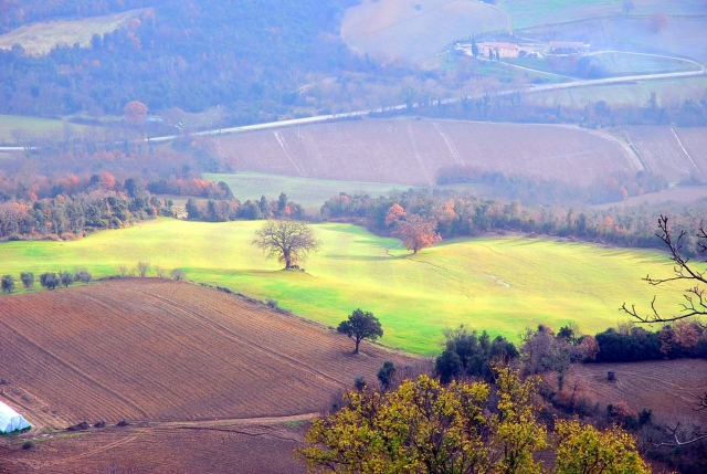  Paisaje natural 
