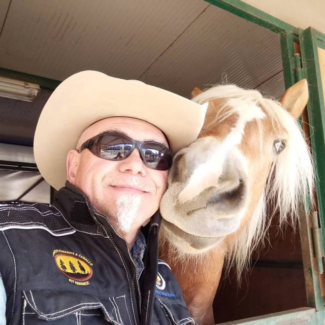  Um de nossos cavalos