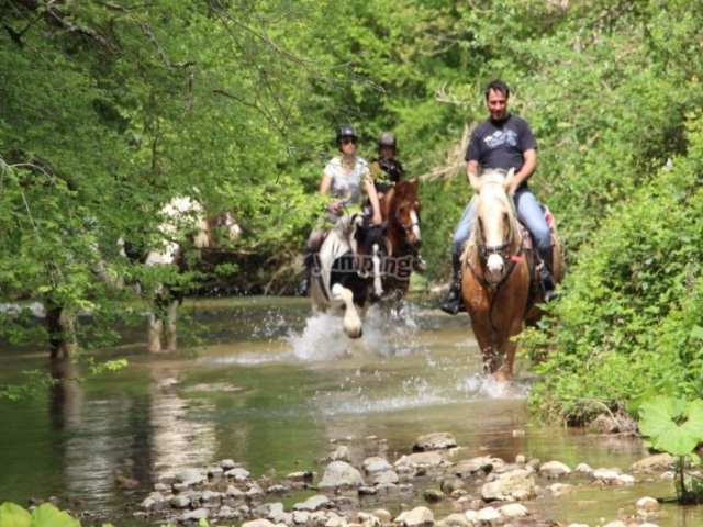  Excursión en grupo entre la naturaleza veronesa