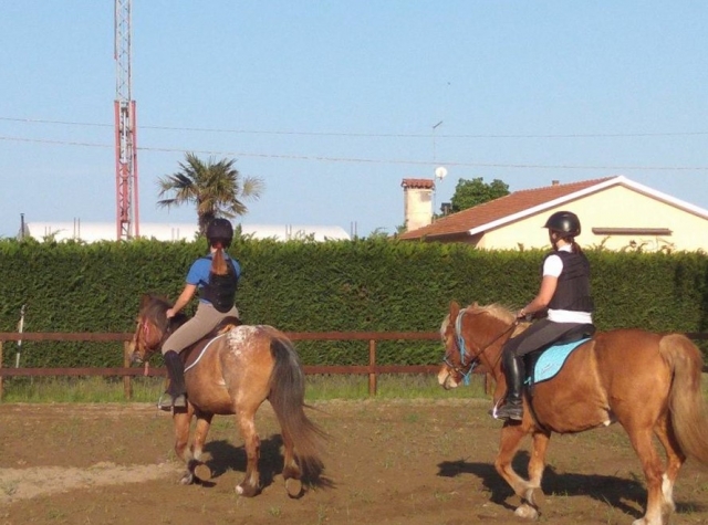  En el campo en nuestra escuela de equitación 