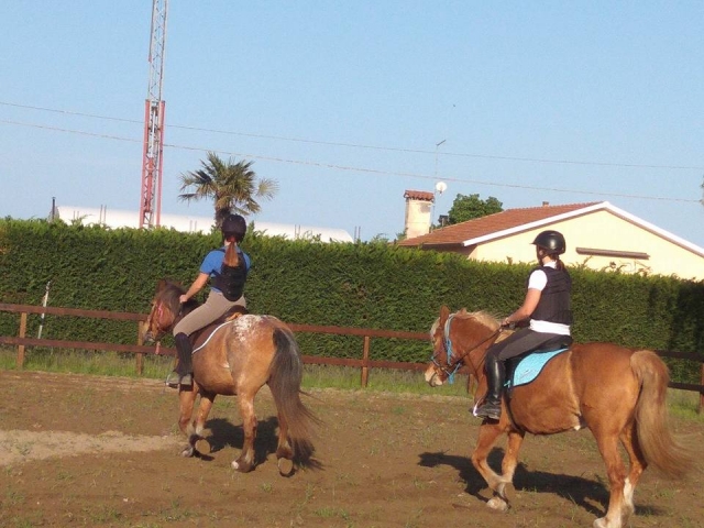 In sella