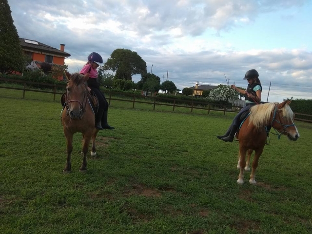  Caminhe em pares