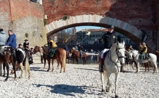Excursion d'une demi-journée à cheval à Vérone avec déjeuner